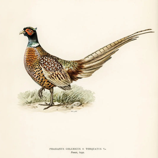 Vintage wall hanging